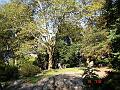 NJ_NY 036